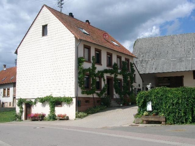 Zucht- Und Ausbildungsstall Rubly Apartment Kleinbundenbach ภายนอก รูปภาพ