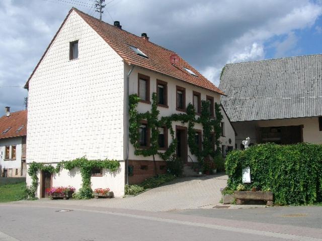 Zucht- Und Ausbildungsstall Rubly Kleinbundenbach ภายนอก รูปภาพ